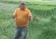 FENOMEN SF în lanurile de orz din judeţul Buzău. Nimeni nu poate explica CERCURILE MISTERIOASE 