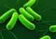 PERICOLUL ASCUNS DIN AVIOANE: Bacterii virulente pot să supravieţuiască o săptămână în avioane