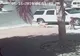 VIDEO INCREDIBIL! O pisică îşi salvează stăpânul din colţii unui câine 