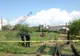 ÎNFIORĂTOR. Copil UCIS pe stradă, la Bistriţa, de alţi COPII. Totul, sub ochii surorii sale de 8 ani