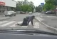 BANCUL ZILEI. Trei inşi, beţi turtă, pe calea ferată