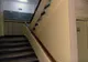 DESCOPERIRE INCREDIBILĂ într-o scară de bloc din Drobeta Turnu Severin