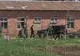 UCRAINA SE ÎNDREAPTĂ CĂTRE HAOS. Avertismentul făcut de un înalt oficial ONU