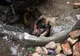 CE ASCUNDE BUCUREŞTIUL? Reportaj în canalele subterane ale Capitalei  