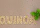 FRESH-REFRESH. Semințele de QUINOA