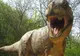 Câte specii de dinozauri mai trăiesc azi pe Pământ? Răspunsul ULUITOR al unui savant