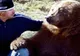A găsit un PUI de URS în stare GRAVĂ! Cuvintele nu pot descrie ceea ce A URMAT. VIDEO