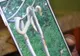 Invazie de serpi in Banat! Locuitorii terorizati de reptile se plang ca sunt ignorati de autoritati