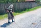 HALUCINANT. O femeie primea ajutor social, fără să ştie că are în cont 14 miliarde de lei vechi