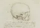Misterul "craniului lui Leonardo da Vinci". Teoria care a stârnit controverse printre cercetători