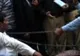 Doi tineri care tocmai se căsătoriseră au fost decapitaţi de rudele miresei, în Pakistan - VIDEO