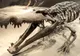O specie de crocodili uriaşi, denumită după personaj creat de J.R.R. Tolkien
