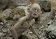 Au crezut că e o FARSĂ, dar era REAL: CREATURA care seamănă cu GOLLUM, fotografiată în China
