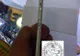iPhone 6, DECONSPIRAT. Noi imagini spion cu cel mai asteptat smartphone Apple   