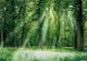 Efectele îngrijorătare provocate de extinderea zonei tropicale din cauza schimbărilor climatice