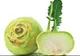 FRESH-REFRESH. Guliile sunt benefice sănătății noastre 