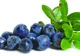 FRESH-REFRESH. AFINELE, micile BOMBE DE VITAMINE