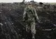 Zborul MH17: Fragmente umane, încă la locul tragediei 