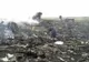 AVION DOBORÂT UCRAINA. Observatorii OSCE au ajuns la locul catastrofei aeriene din Ucraina 