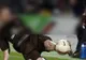 ȘOCANT. Un fotbalist cunoscut s-a SINUCIS