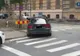 Fina preşedintelui Traian Băsescu, BIZON ÎN TRAFIC 