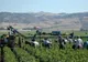 Lumea de coşmar a românilor din Sicilia. Româncele au făcut 762 avorturi într-un an