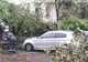 Informare meteo de vânt puternic în peste jumătate de țară