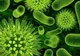 A fost descoperit un virus nou - jumatate din populatia lumii il are