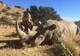 Are 19 ani şi a postat pe Facebook fotografii alături de animalele ucise. Ce a urmat