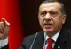 Premierul Erdogan promite modificarea constituției pentru a instaura unui regim prezidențial 
