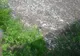 MARTOR OCULAR. Imagini şocante la Lacul Bicaz, una dintre frumuseţile României