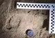 Descoperire antropologică uluitoare în Bihor. Cele mai vechi urme de paşi din Europa