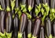 FRESH-REFRESH. Vinetele, alimentul potrivit pentru zilele caniculare