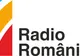 Radioul Public vrea să se promoveze, cu 22.500 de euro, la Euronews