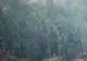 STARE de CALAMITATE, în Suedia. Cel mai mare INCENDIU de vegetaţie din ultimii 40 de ani