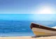 Primarul Timişoarei, aflat în vacanţă la Ibiza, îşi lansează pe Facebook o melodie compusă de el