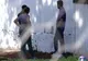 EVADARE CA ÎN FILME. Deţinuţii şi-au filmat evadarea şi au postat imaginile pe Youtube 