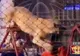 MOMENTE de GROAZĂ, la circ: LEUL a atacat o profesoară, sub ochii elevilor