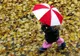 Se instalează toamna? PROGNOZA METEO PE TREI ZILE 