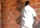 FABULOS! Cum muncește acest Dorel! Nu vei găsi nicăieri un astfel de muncitor