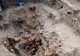 Statuetă din os, veche de circa 20.000 de ani, descoperită de arheologi din județ 