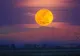 Fenomen astronomic rar: Super Lună şi eclipsă de Lună, simultan, pe 28 septembrie
