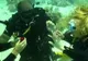 SURPRIZA extraordinară avută de o tânără din Zalău în EGIPT. Ce a găsit ea pe fundul Mării Roșii
