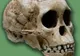 Craniul "copilului din Taung", vechi de 3 milioane de ani, nu are caracteristici umane