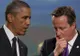 Moment JENANT pentru David Cameron la summitul NATO din Ţara Galilor