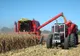 SURPRIZĂ de coșmar pentru agricultori. Numai asta le lipsea