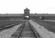 Oradea-Auschwitz, la pedală în memoria Evei Hayman. O poveste uluitoare