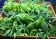 O actriţă a lansat o linie de produse pe bază de canabis 