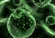 Băutura care inhibă dezvoltarea cancerului, reduce inflamaţiile şi combate durerile!