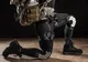Devenim ROBOŢI. Americanii dezvoltă scheletul care ne va transforma în cyborgi